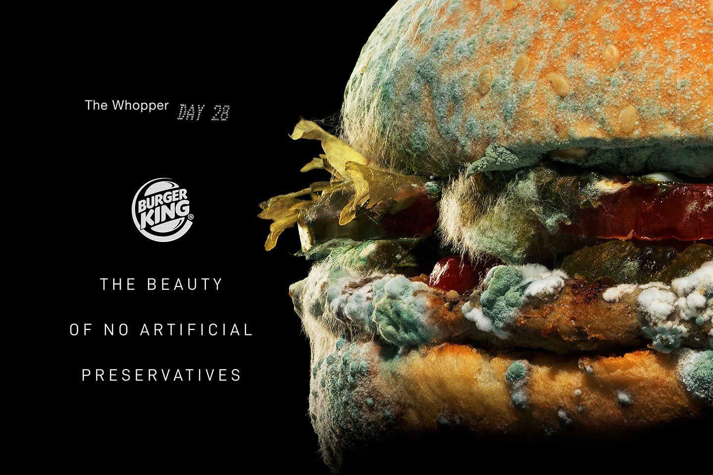 An image showcasing Burger King's advertising campaign featuring a moldy Whopper burger, highlighting 'The beauty of no artificial preservatives' slogan, alongside the Burger King logo, to emphasize their commitment to natural ingredients.